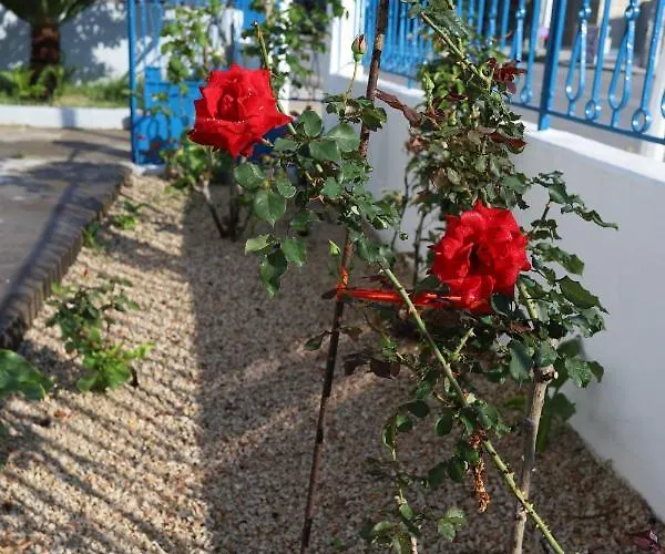 Rhodes Town Garden